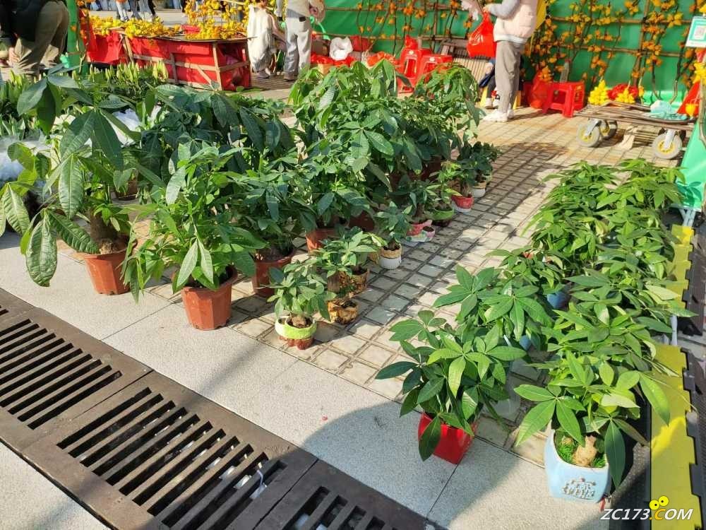 wechat_upload167406071263c823a81fda1