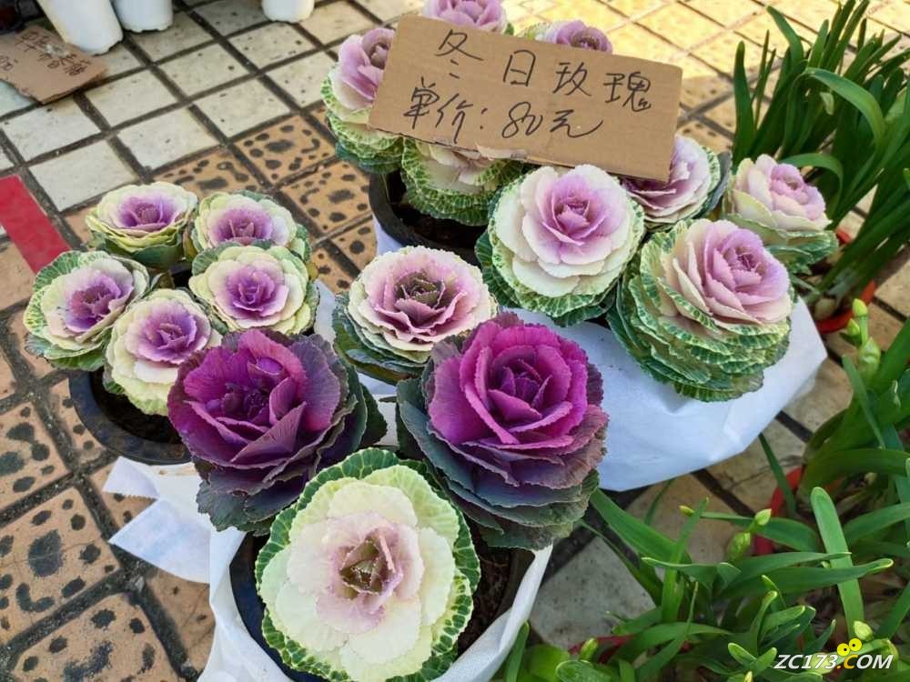 wechat_upload167406080963c82409c2cf9
