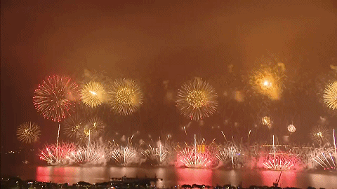 e2c762a6651deeb46e631a6068d87df4.gif