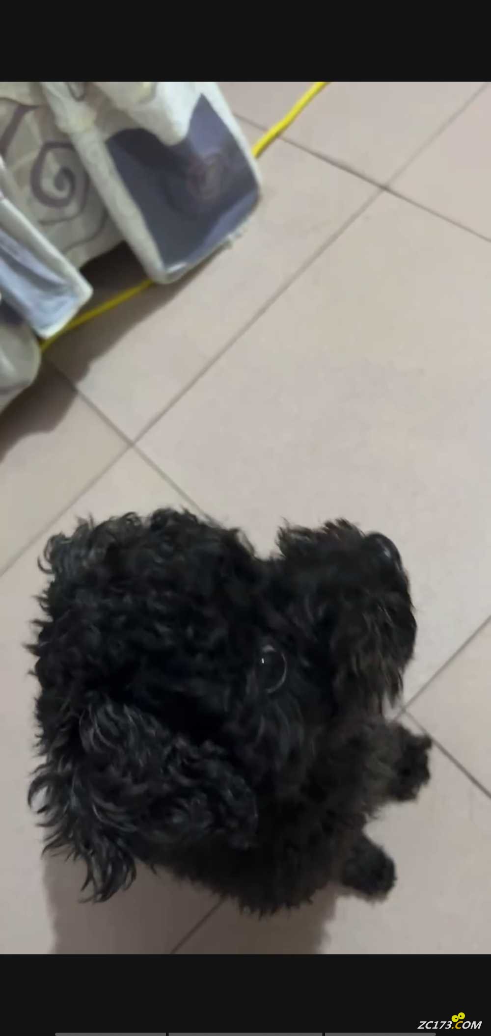 wechat_upload167731346663f9c5ba016e4