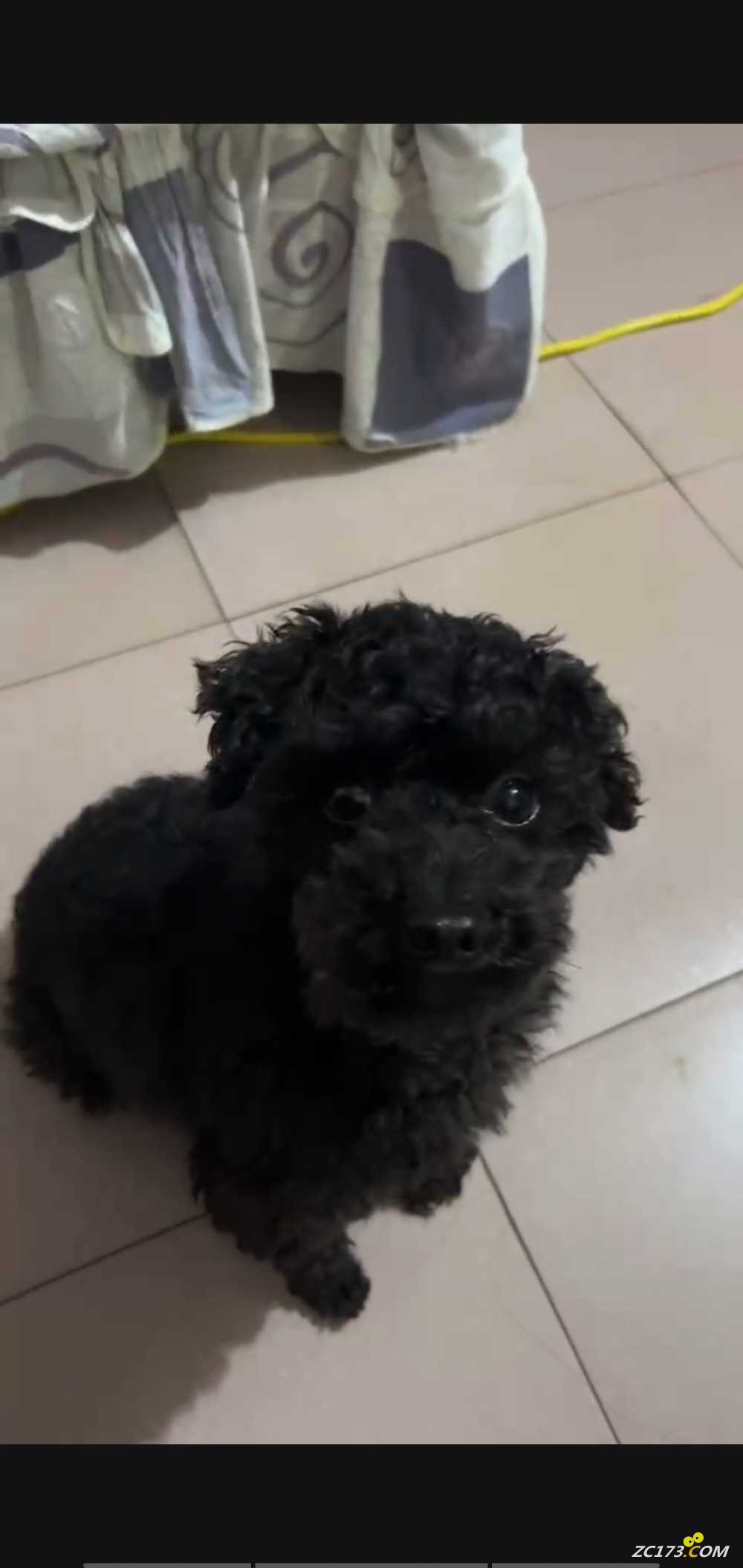 wechat_upload167731346763f9c5bb1c112