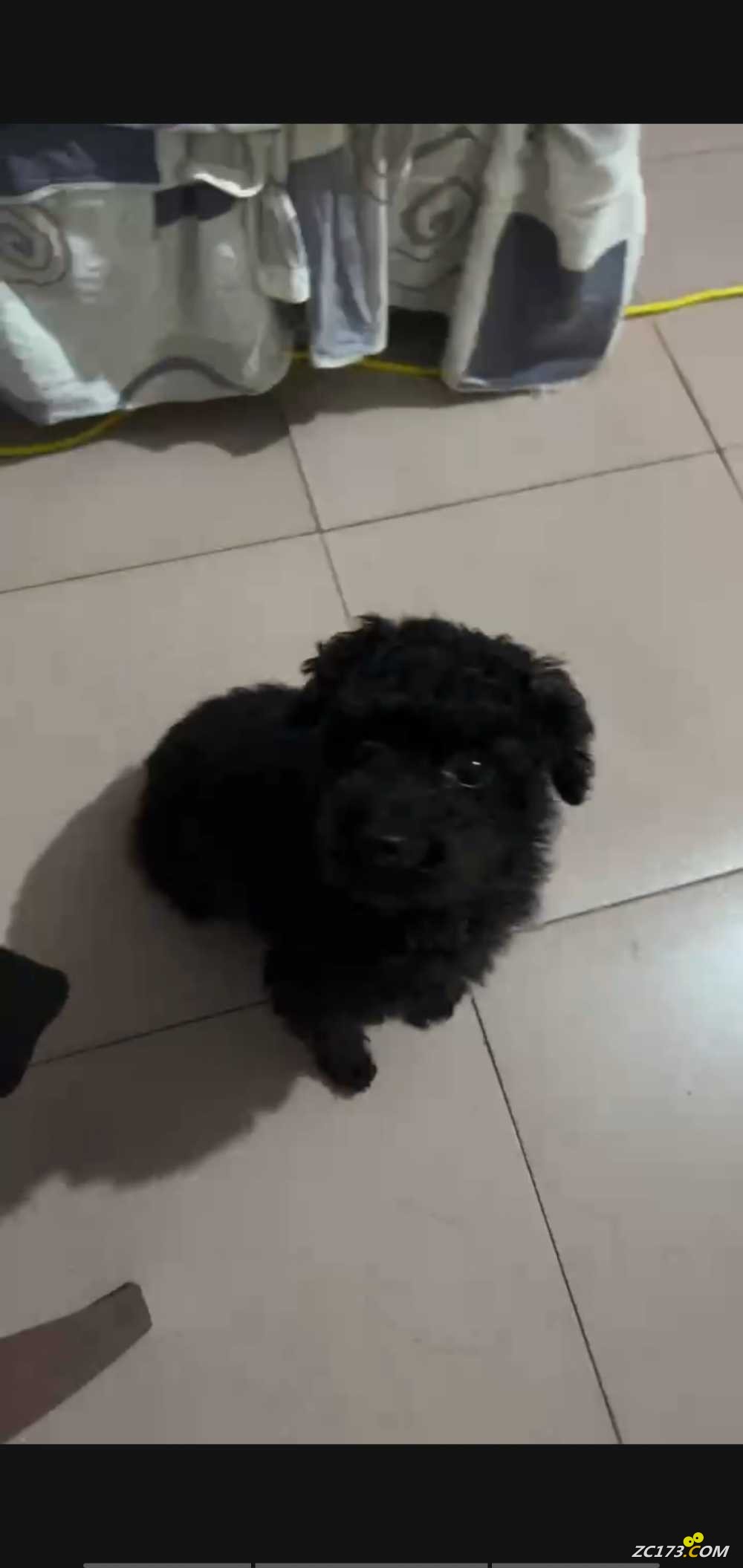 wechat_upload167731346863f9c5bc1aebf