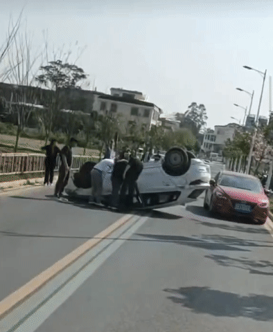 a21f906196faaede40e6d404fbad8981.gif