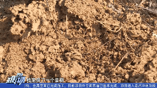 9af31685c028a12d4925294cd6d9ab4c.gif