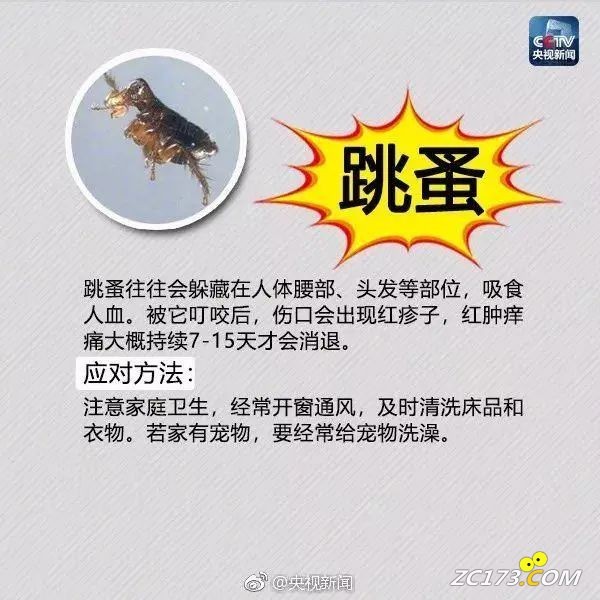 1c1a66644c49a57e9efc18ff6709474d.jpg