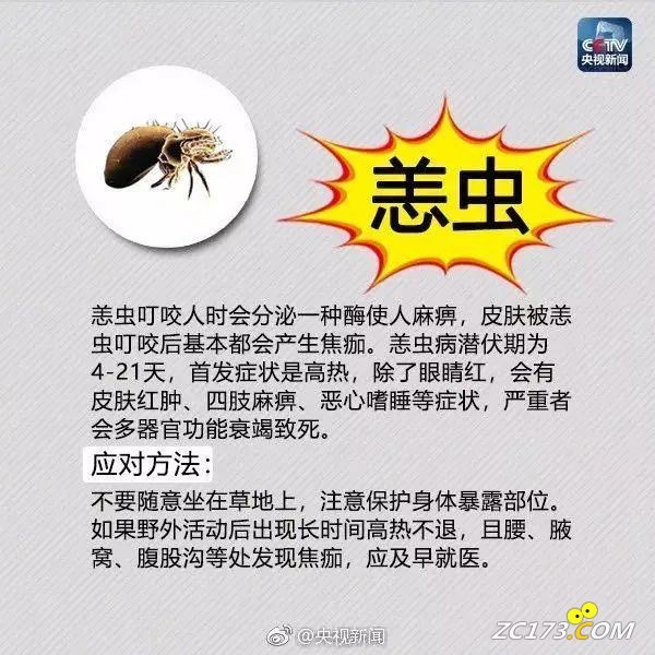 5824e5f9eb95b184180ab8748f76f366.jpg