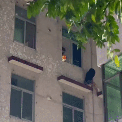 a76213dd02d768b142a4f32ae114b2cf.gif