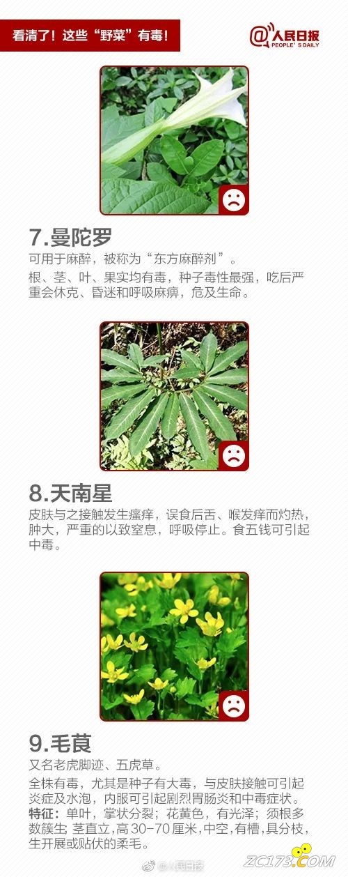a6dd1efdc032b9b67975dc21dc56c58e.jpg