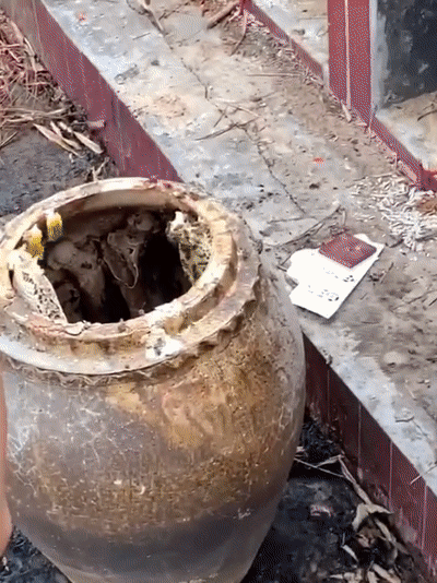 879449d3a0a45d8d067bcad0e5d1c242.gif