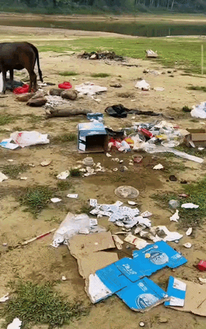 825ffc521d240d59b315570efd2260eb.gif