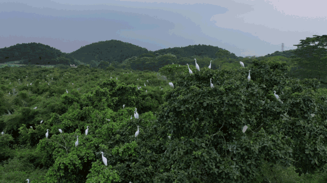 6b891981f71dddf86769e1399ecc3d7a.gif