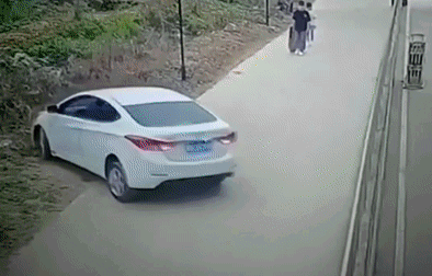e6caafea98202f89e257b61fab4354e0.gif