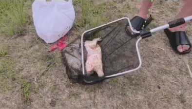 7ab0638c60bb5725caee916e24173e8b.gif