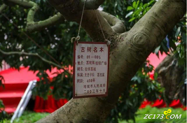 48dae6808f7ed04fad0ab0adecc288e5.png