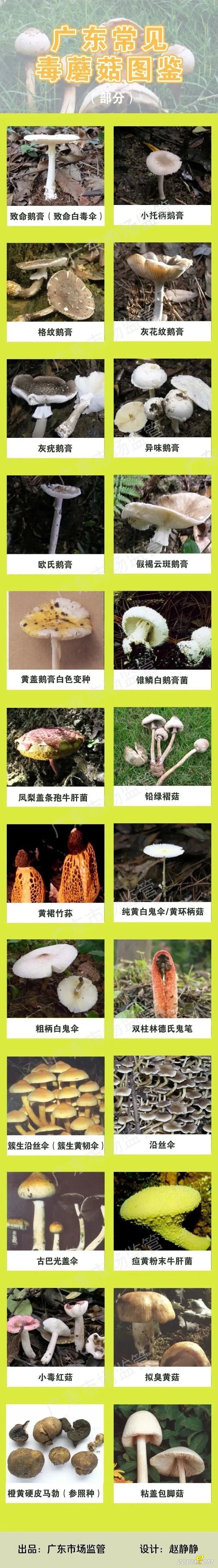 e652c9d757bf7c7374aa717d8e18e70a.jpg