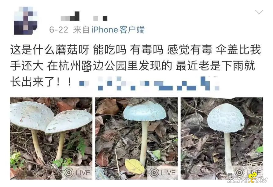 5fe413f38fbe7feffc9569fb44b74e53.jpg
