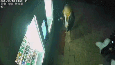 568267cbedc437926801425a8cb7e425.gif