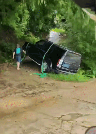 655c0329a6df31b6260e16bbad7c254a.gif