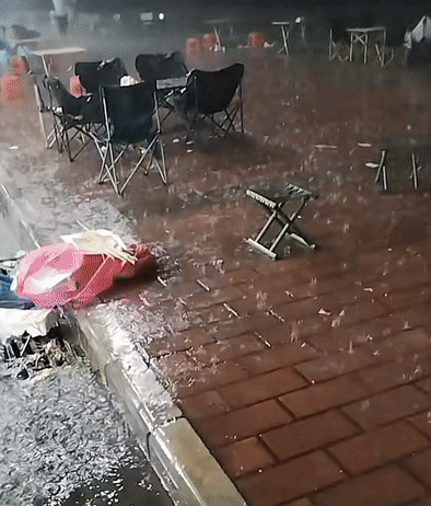 301f19e098df05a6db26cb7e6402fcfb.gif