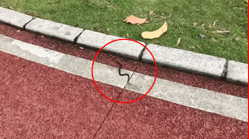 c77580ab28eda8042b4fa6421a209a88.gif