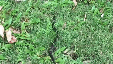 131aca2bd1060b240f8ebe32ff541fbf.gif