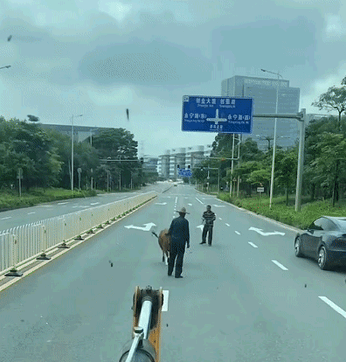 29ebc40dd11b6e679b85799b9c7e12b7.gif