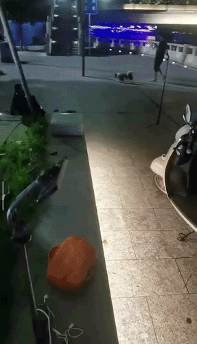 bb99a22b400cd552b101ae157872afe2.gif