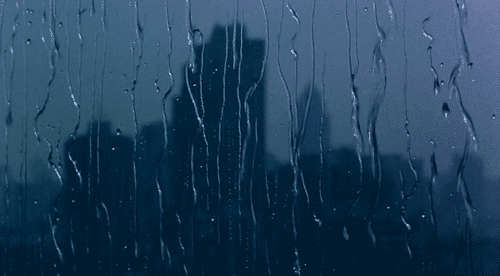 d0e533ee590e81de37ce2655b73d39d5.gif
