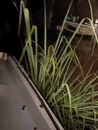 68dc717ab04171881ca645e068d7a79c.gif
