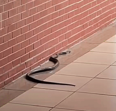 c791b861df70f0a381daeddbc7ab94f7.gif