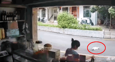 211e58424319099ff164ad5d91070214.gif