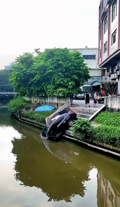 3acd42372f2eab006fbc0a41b61af2cf.gif