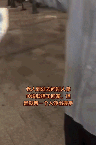 20cd69fe7b9f30264109734aa3f12c85.gif