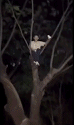 63eb246fbf8a66944470de3488fcfe1d.gif