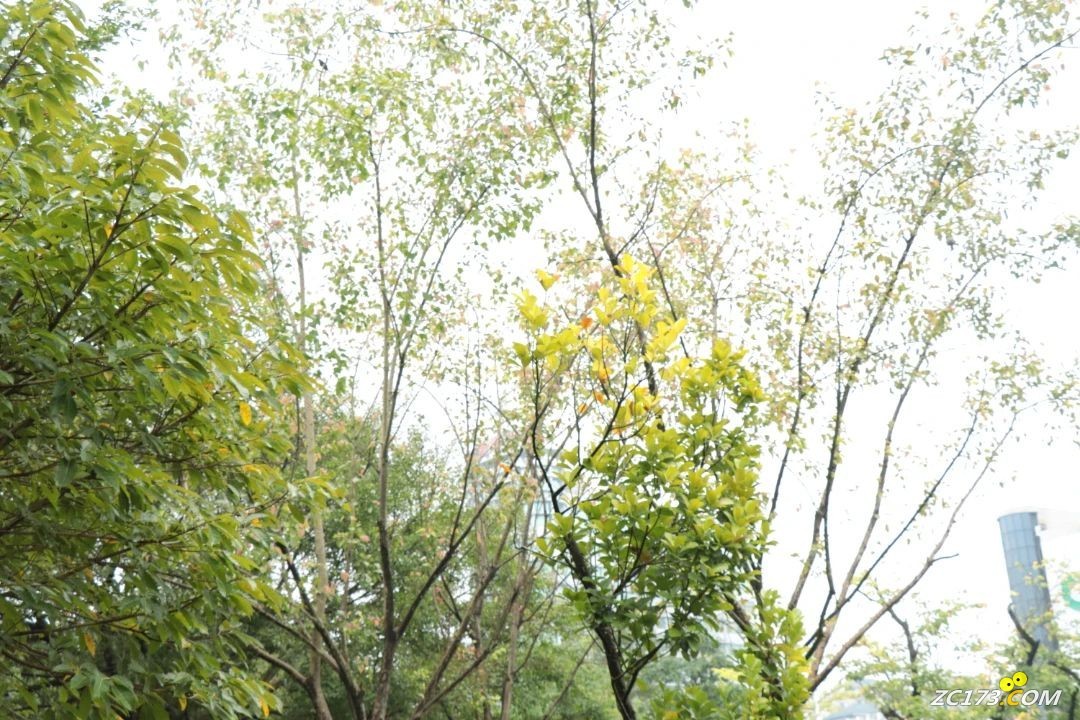 45c2224ffd146a1a9d5970d9cefbbdca.jpg