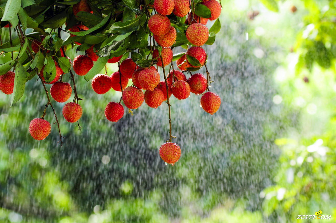 38a659a81474af5ace831afc8faa9d78.png