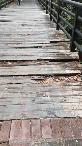 2ec43696d6c68eb87630874af2e61551.gif