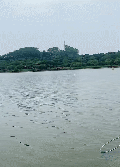 549e29bad57a7d3573e52d698a3625cf.gif