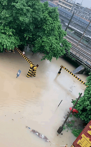 2545a3f54f4d83f8a5d3156174a3e965.gif