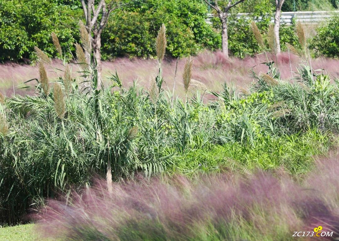277dda1d0b3c782b37c0986ae4a717dd.jpg