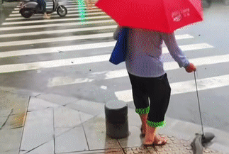 3b7b09124eb42ce30a2d841dd3c79e04.gif