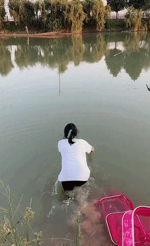 58150944aecee422ea8c594aa938645a.gif