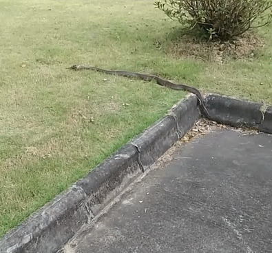 7bd313a8ec743f79edd2ae7c47340e1b.gif