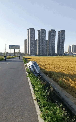 a62804bafbcb9f77a392c2fa24b131a1.gif