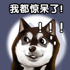 240f294d5b2407ee8c9afb665e5d8dd9.gif