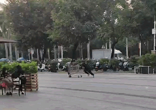 2ad0ebf48c85f3135b2768fa65b896cf.gif