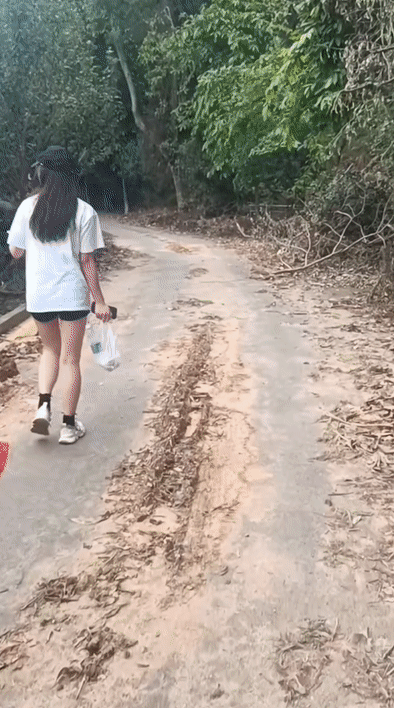 35909d2790d6fb67545e50fb5912ada4.gif