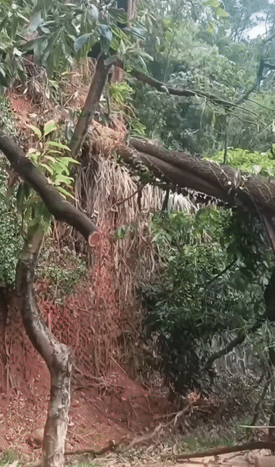 d629c5d723fc162fa537780939439d94.gif