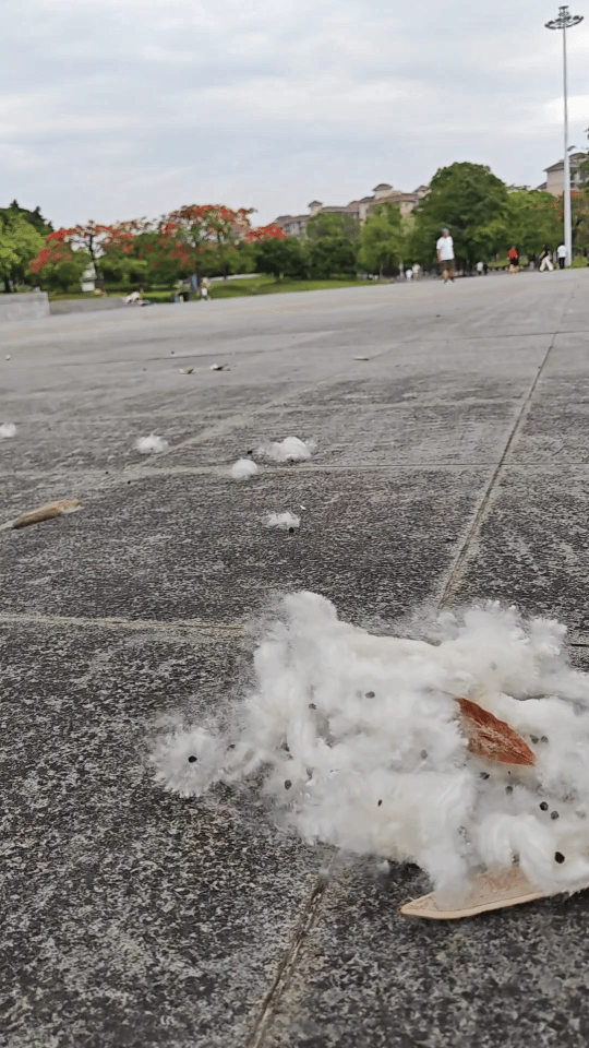 7651a4b80519b4b7005ab4dd204dcb3d.gif