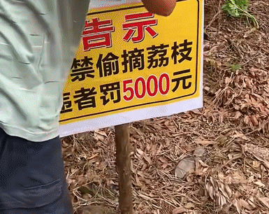 087cde8c29e39c98f198cffd0f4ac2a1.gif